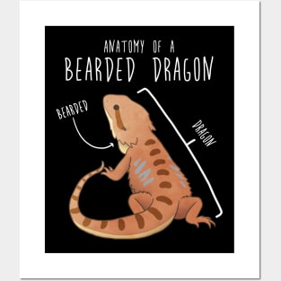 Bearded Dragon Lizard Reptile Anatomy Posters and Art